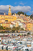 Blick vom Vieux-Hafen auf die Altstadt und die Basilika Saint-Michel-Archange, Menton, Alpes Maritimes, Côte d'Azur, Französische Riviera, Provence, Frankreich, Mittelmeer, Europa