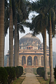 Ansicht der Bäume, die zum Muhammad Shah Sayyid-Grab im berühmten Lodhi-Garten in Neu-Delhi, Indien führen