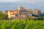 Vineyard and the medieval village of Volpaia in Tuscany, near Florence in Chianti Italy