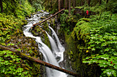 Photographer on the Sol Duc Falls Trail, Sol Duc Valley, Olympic National Park, UNESCO World Heritage Site, Washington State, United States of America, North America
