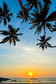 Lehnende Palmen bei Sonnenuntergang am schönen unberührten Kizhunna-Strand, südlich von Kannur an der Nordküste des Staates, Kannur, Kerala, Indien, Asien