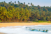 Beautiful palm fringed Kizhunna Beach, south of Kannur on the Kerala north coast, Kannur, Kerala, India, Asia