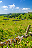 Ansicht der Trockenmauern und der Landschaft nahe Brassington, Derbyshire Dales, Derbyshire, England, Vereinigtes Königreich, Europa
