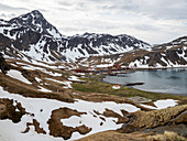 View of the abandoned Norwegian whaling station at Grytviken, in East Cumberland Bay, South Georgia, Polar Regions