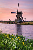 Windmühle bei Sonnenaufgang, Kinderdijk, UNESCO-Weltkulturerbe, Südholland, Niederlande, Europa