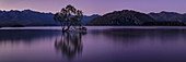 Lake Wanaka, Blaue Stunde, Mount-Aspiring National Park, UNESCO-Weltkulturerbe, Otago, Südinsel, Neuseeland, Pazifik