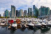 Marina at Coal Harbour, with leisure craft and house boats, city skyline, Vancouver, British Columbia, Canada, North America