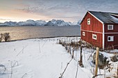 Typical Rorbu in the snowy landscape at sunset on the fjord, Djupvik, Lyngen Alps, Tromso, Norway, Europe