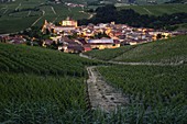 Barolo Castle durch die Weinberge mit der italienischen Flagge in der Abenddämmerung, Barolo, Piemont, Italien gefärbt