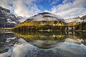 Reflections at Braies lake during autumn at sunrise, Braies, Bolzano, Trentino Alto Adige, Italy, Western Europe
