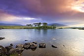 View of Pine Island on the Derryclare Lough lake at sunrise. Pine Island, Connemara National Park, County Galway, Connacht province, Inagh Valley, Ireland, Europe.