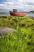 Rotes Fischerboot aus Holz in Roundstone. Grafschaft Galway, Provinz Connacht, Irland, Europa.