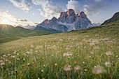 Natürliche alpine landschaft, mondeval mit berg pelmo im hintergrund, san vito di cadore, belluno, veneto, italien