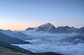 Dämmerung über Marmolada, die aus einem Wolkenmeer, Dolomiten, Trentino, Italien hervorgeht