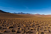 Atacama-Wüste, Chile.