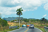 Classic cars driving through the Viñales Valley in Cuba