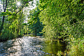 Great Mühl near Aigen-Schlägl, Mühlviertel, Upper Austria, Austria