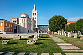 Church of St. Donatus and bell tower of the Zadar Cathedral, Zadar, Zadar, Croatia, Europe