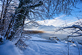 Winter morning at Kochelsee, Upper Bavaria, Bavaria, Germany, Europe