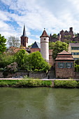 Die Tauber fließt sanft an der Altstadt vorbei mit Roter Turm am Faultor (Kittsteintor), Stiftskirche und Burg Wertheim, Wertheim, Spessart-Mainland, Franken, Baden-Württemberg, Deutschland, Europa