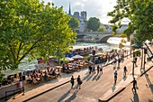 France, Paris, area listed as World Heritage by UNESCO, Rives de Seine Park and cafes by the river, Notre Dame in the background