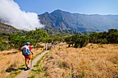 France, Reunion island, Saint Paul, the GR R2 path close to Marla, listed as World Heritage by UNESCO
