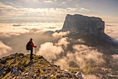France, Isere, Vercors Regional Natural Park, National Highlands Vercors Nature Reserve, Mont Aiguille (2086m) emerges from a sea of clouds