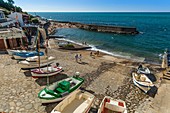 France, Pyrenees Atlantiques, Bask country, Guethary, the fishing Port of Guethary