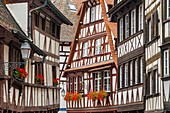 Frankreich, Bas Rhin, Straßburg, Altstadt, die von der UNESCO zum Weltkulturerbe erklärt wurde, Fachwerkhäuser im Stadtteil Petite France