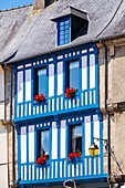 France, Cotes d'Armor, Treguier, historical centre, half timbered houses (15th and 16th centuries)