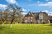 Altes Friesenhaus in St. Peter Dorf, St. Peter-Ording, Nord-Friesland, Schleswig-Holstein