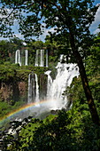 Regenbogen in Gischt von Wasserfall der Iguazu Falls, Iguazu National Park, Misiones, Argentinien, Südamerika