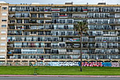 Palm tree in front of the residential high-rise with graffiti, Montevideo, Montevideo Department, Uruguay, South America,