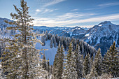 Snow-covered winter forest at Tegelberg in the Ammer Mountains, Schwangau, Allgäu, Bavaria, Germany