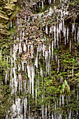 Wasserfall am Stux mit gefrorenen Zapfen, Unkel, Deutschland