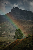 Rainbow in the Swiss mountains, rainbow, mountains,