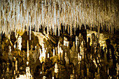 Höhlen von Cougnac, Gourdon, Alpes-Maritimes, Provence-Alpes-Côte d'Azur, Südfrankreich, Frankreich