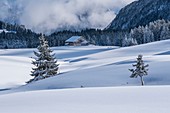 France, Haute Savoie, Bornes massif, Plateau des Glieres, view of the plateau valleys and alpine farm under the snow