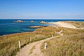 Frankreich, Morbihan, Houat, Nordseite, gehen in Richtung Strand von Tal er Han