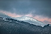 France, Jura, Haut Jura Natural Regional Park, first snow at sunset