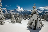 France, Haute Savoie, massif of Aravis, gone hiking in racket on the tray of Beauregard over the resorts of Manigod and Clusaz, after a big snowfall clearings and summits of Aravis