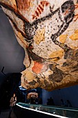 Frankreich, Dordogne, Schwarzes Perigord, Vezere-Tal, prähistorische Stätte und dekorierte Höhle, die von der UNESCO zum Weltkulturerbe erklärt wurde, Montignac-sur-Vezere, Höhle von Lascaux IV, Internationales Zentrum für parietale Kunst, Faksimile-Showroom