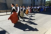 Frankreich, Bouches du Rhone, Tarascon, La Tarasque Festival (letztes Juniwochenende)