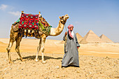 Three pyramids, monuments and burial tombs of the pharaohs Khufu, Khafre, and Menkaure, a tourist guide holding a camel
