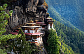 Tigernest-Kloster, eine heilige buddhistische Vajrayana-Himalaya-Stätte im oberen Paro-Tal in Bhutan, Asien
