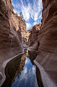 Fresh water in a slot canyon at Mesquite Canyon, Sierra de la Giganta, Baja California Sur, Mexico, North America