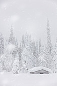 Holzchalet und Bäume unter einem Winterschneefall, Lappland, Finnland, Europa