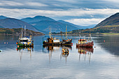 Fishing boats, Bay of Ullapool, Ross and Cromarty, Highlands, Scotland, United Kingdom, Europe
