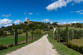 Straße zum Palazzo Massaini, Val d'Orcia, UNESCO-Weltkulturerbe, Toskana, Italien, Europa