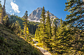 Hiking trail to Seebensee in the Gaistal with a view of the Rauher Kopf, Ehrwald in Tirol, Tyrol, Austria